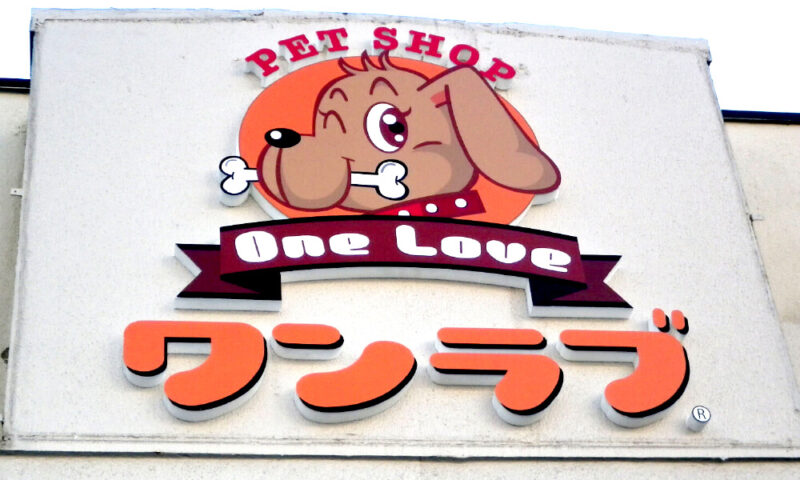 カルプ文字