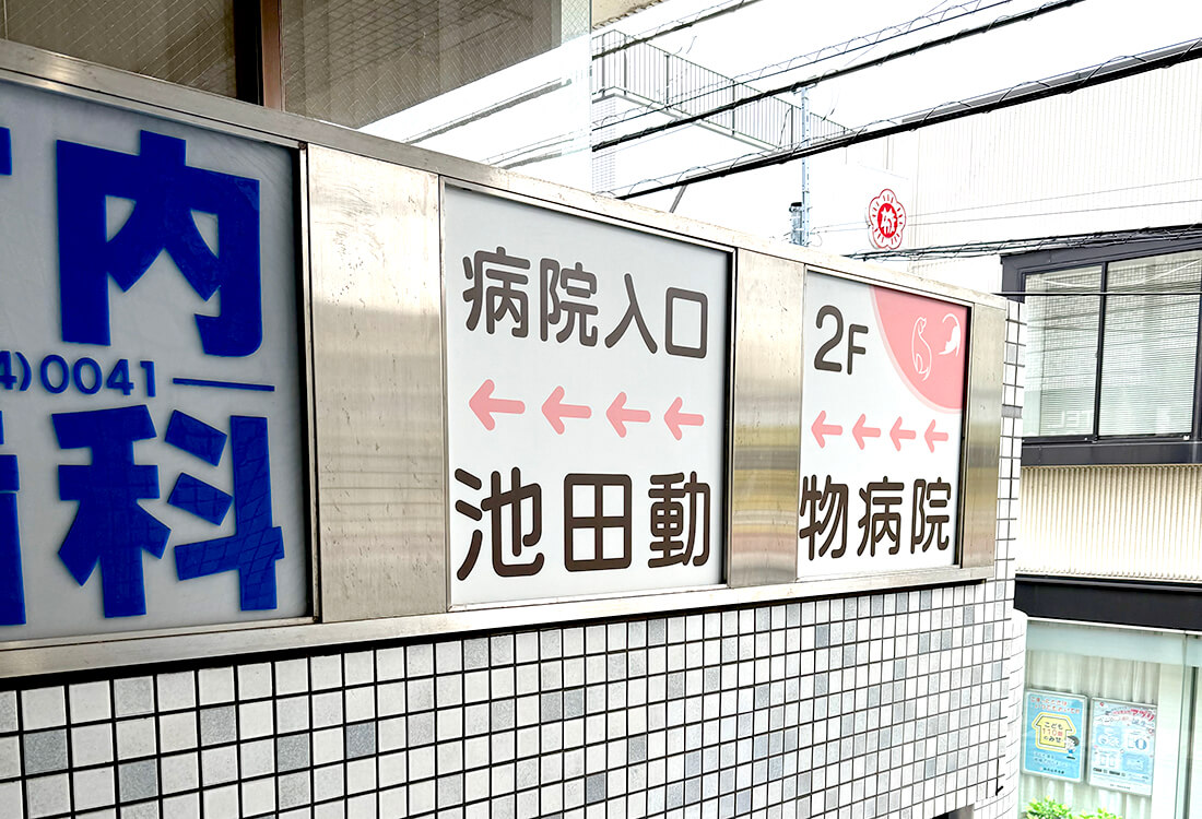ウィンドウサイン
